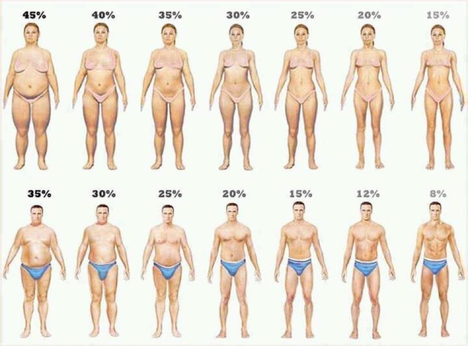 体重より体脂肪率が大切って言うけど パーソナルトレーナー安藤ひろゆきのブログ