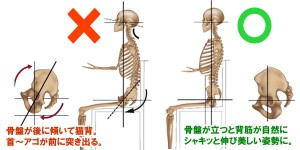 shisei-sit